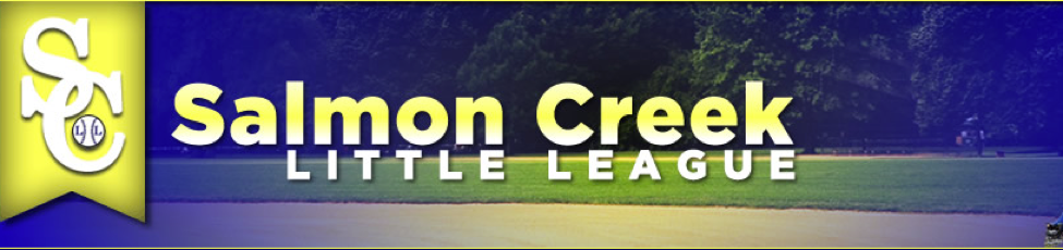Salmon Creek Little League Banner