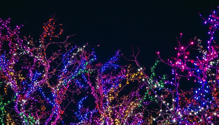 Vancouver Washington Christmas Lights